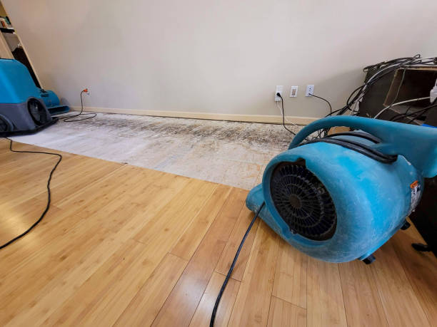 Professional Structural Drying technician working in Grand View, ID